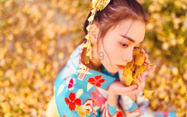 三国群英5